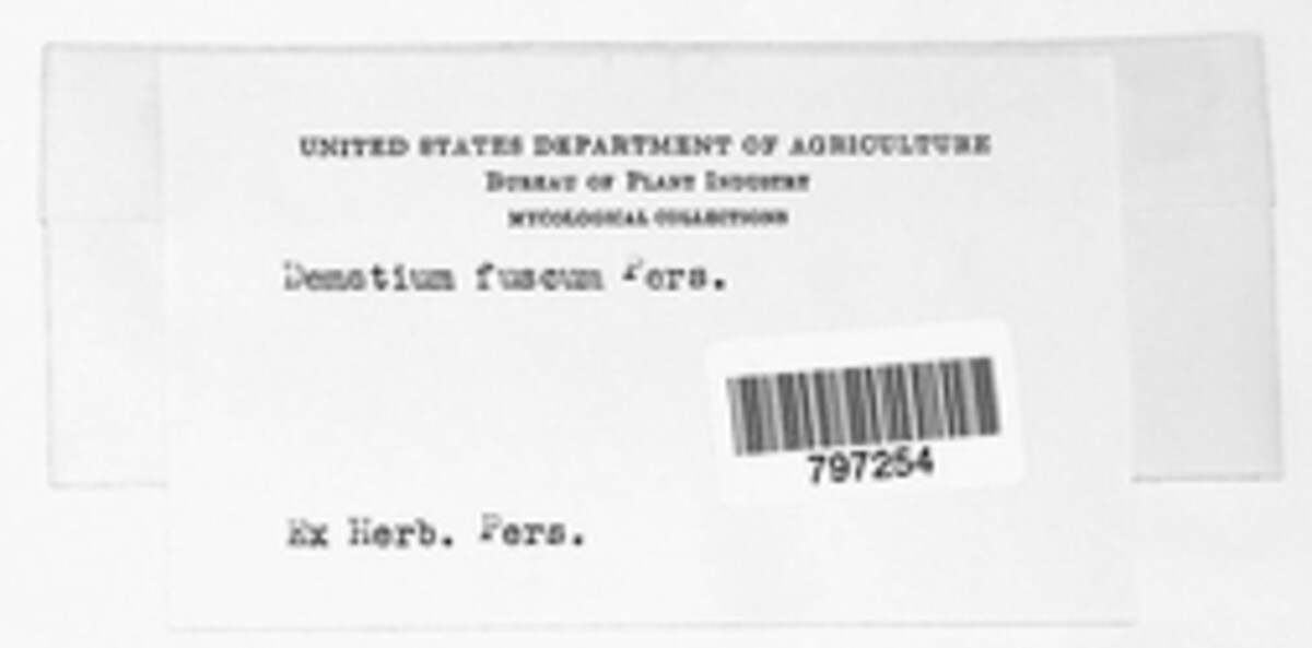 Dematium image